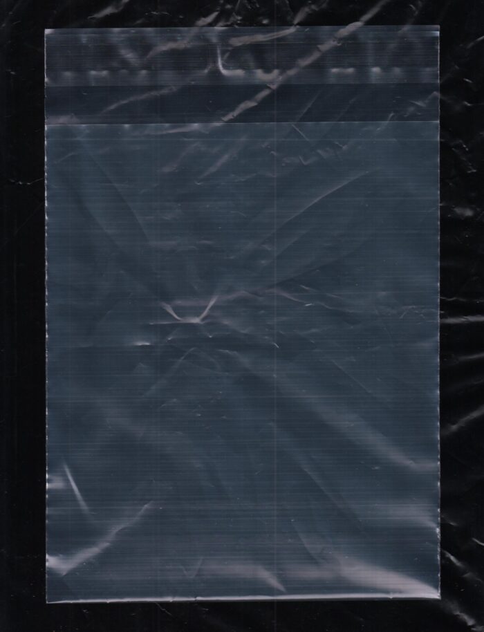 Transparent Courier Bag Cover